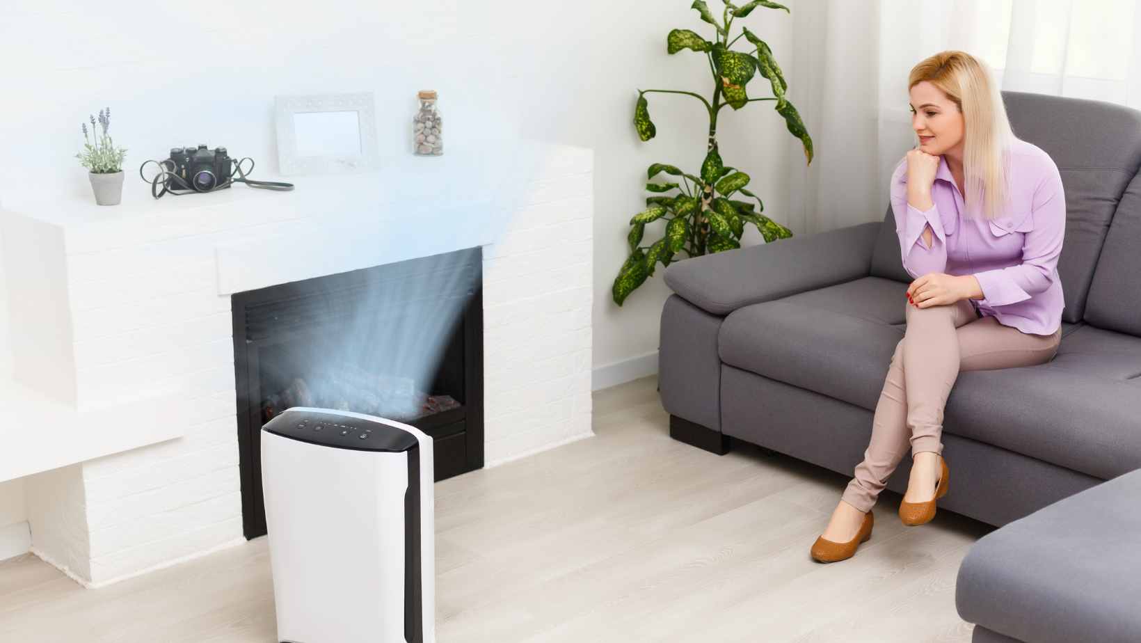 Which is Better: Air Purifier or Ionizer